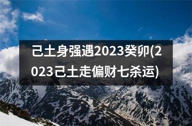 <h3>己土身强遇2025癸卯(2025己土走偏财七杀运)