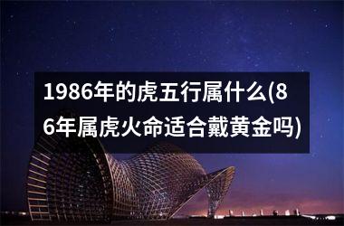 <h3>1986年的虎五行属什么(86年属虎火命适合戴黄金吗)