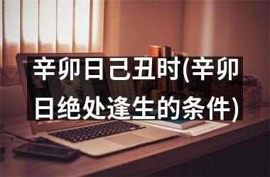 <h3>辛卯日己丑时(辛卯日绝处逢生的条件)