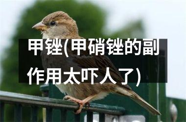 <h3>甲锉(甲硝锉的副作用太吓人了)