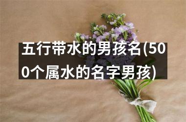 <h3>五行带水的男孩名(500个属水的名字男孩)