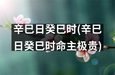 <h3>辛巳日癸巳时(辛巳日癸巳时命主极贵)