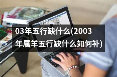 <h3>03年五行缺什么(2003年属羊五行缺什么如何补)