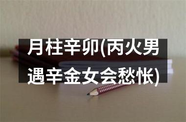 <h3>月柱辛卯(丙火男遇辛金女会愁怅)