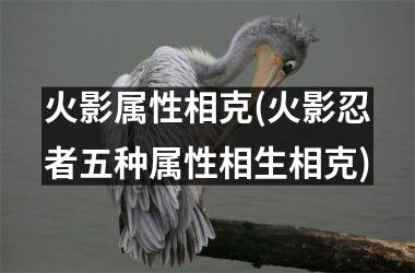 <h3>火影属性相克(火影忍者五种属性相生相克)