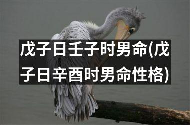 <h3>戊子日壬子时男命(戊子日辛酉时男命性格)