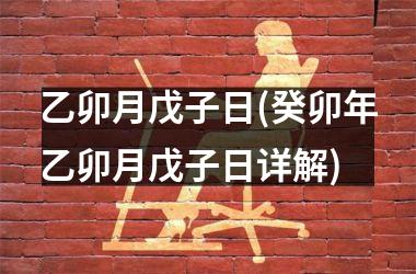 <h3>乙卯月戊子日(癸卯年乙卯月戊子日详解)