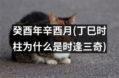 <h3>癸酉年辛酉月(丁巳时柱为什么是时逢三奇)