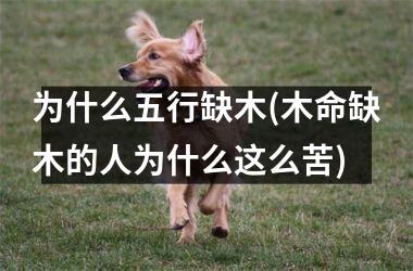 <h3>为什么五行缺木(木命缺木的人为什么这么苦)