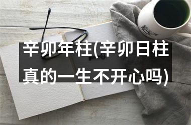 <h3>辛卯年柱(辛卯日柱真的一生不开心吗)