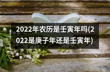 <h3>2025年农历是壬寅年吗(2025是庚子年还是壬寅年)
