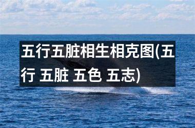 <h3>五行五脏相生相克图(五行 五脏 五色 五志)
