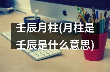 <h3>壬辰月柱(月柱是壬辰是什么意思)