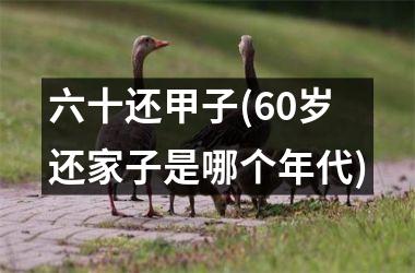 <h3>六十还甲子(60岁还家子是哪个年代)