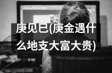 <h3>庚见巳(庚金遇什么地支大富大贵)