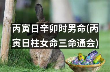 <h3>丙寅日辛卯时男命(丙寅日柱女命三命通会)