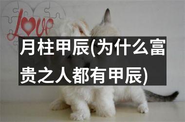 月柱甲辰(为什么富贵之人都有甲辰)
