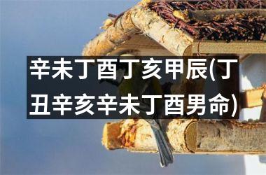 <h3>辛未丁酉丁亥甲辰(丁丑辛亥辛未丁酉男命)