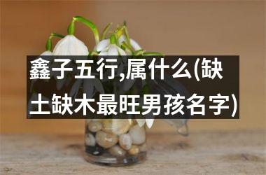 鑫子五行,属什么(缺土缺木最旺男孩名字)