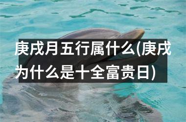 <h3>庚戌月五行属什么(庚戌为什么是十全富贵日)