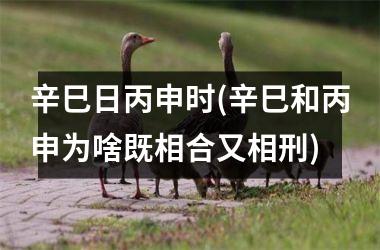 <h3>辛巳日丙申时(辛巳和丙申为啥既相合又相刑)