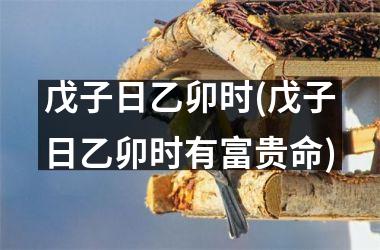 戊子日乙卯时(戊子日乙卯时有富贵命)