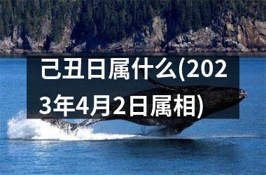 <h3>己丑日属什么(2025年4月2日属相)