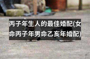 <h3>丙子年生人的最佳婚配(女命丙子年男命乙亥年婚配)