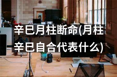 <h3>辛巳月柱断命(月柱辛巳自合代表什么)