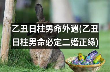 <h3>乙丑日柱男命外遇(乙丑日柱男命必定二婚正缘)