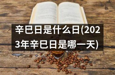 <h3>辛巳日是什么日(2025年辛巳日是哪一天)
