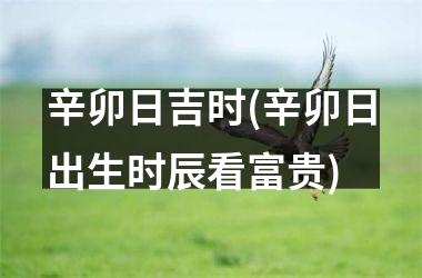 辛卯日吉时(辛卯日出生时辰看富贵)