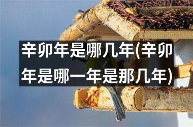 <h3>辛卯年是哪几年(辛卯年是哪一年是那几年)