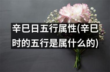 <h3>辛巳日五行属性(辛巳时的五行是属什么的)