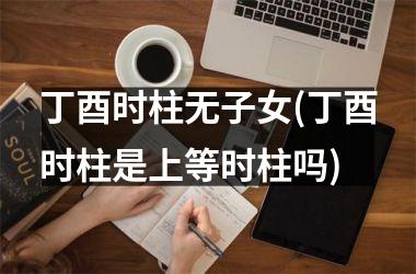 丁酉时柱无子女(丁酉时柱是上等时柱吗)