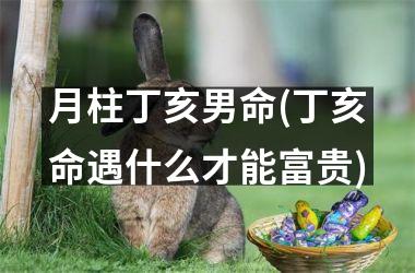 月柱丁亥男命(丁亥命遇什么才能富贵)