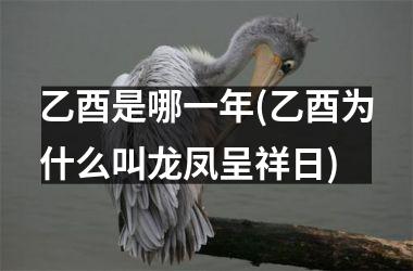 <h3>乙酉是哪一年(乙酉为什么叫龙凤呈祥日)
