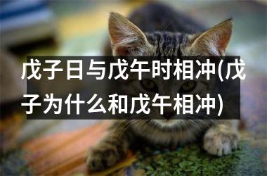 戊子日与戊午时相冲(戊子为什么和戊午相冲)