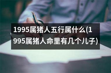 <h3>1995属猪人五行属什么(1995属猪人命里有几个儿子)