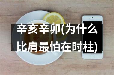 <h3>辛亥辛卯(为什么比肩最怕在时柱)