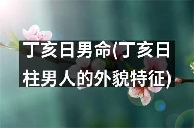 <h3>丁亥日男命(丁亥日柱男人的外貌特征)
