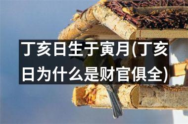 <h3>丁亥日生于寅月(丁亥日为什么是财官俱全)