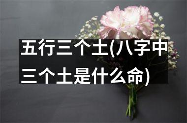 五行三个土(八字中三个土是什么命)