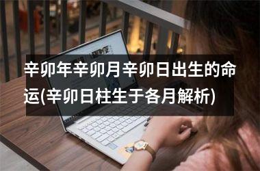 <h3>辛卯年辛卯月辛卯日出生的命运(辛卯日柱生于各月解析)
