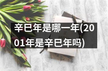 <h3>辛巳年是哪一年(2001年是辛巳年吗)