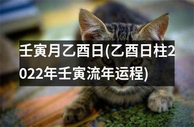 <h3>壬寅月乙酉日(乙酉日柱2025年壬寅流年运程)