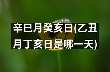<h3>辛巳月癸亥日(乙丑月丁亥日是哪一天)