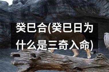 <h3>癸巳合(癸巳日为什么是三奇入命)