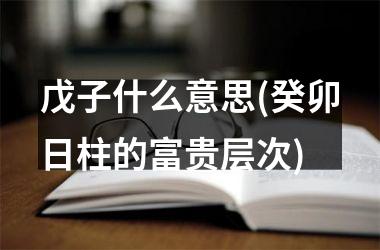 <h3>戊子什么意思(癸卯日柱的富贵层次)