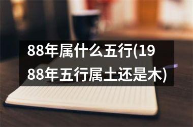 <h3>88年属什么五行(1988年五行属土还是木)
